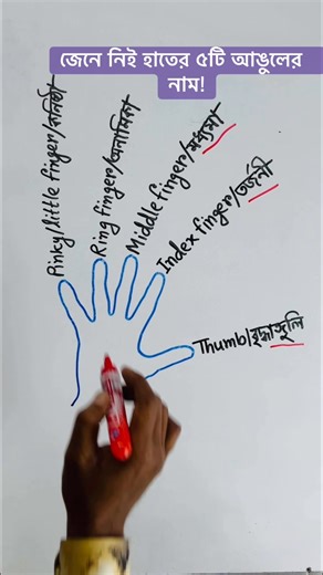 |General Knoledge | সাধারণ জ্ঞান | #সাধারণজ্ঞান #reelsfbシ #education | Chemistry TUTUL