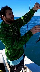 Using fiddler crabs as bait works really good for hogfish and mangrove snapper offshore of Tampa bay Florida! #fishinglife #deepseafishing #crabs #fiddlercrabs | Groupermvp