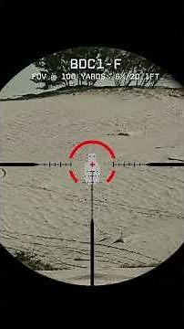 Best Close to Mid Range Reticle