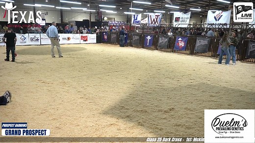 Texas National Stock Show 2026 | Prospect Gilts and Prospect Barrows | Texas National Stock Show