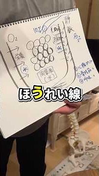 【顔のむくみ・鼻がデカくなる原因】老け顔の原因は「間質液」だった！ベインリフトで小顔・鼻高を叶える！#小顔 #むくみ #顔のむくみ #鼻#ほうれい線 #老け顔 #トリムリターン #美容 #未病