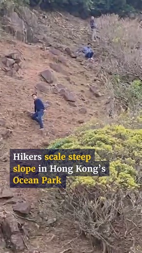 165K views · 434 reactions | A viral video from December 23, 2025, shows three hikers scaling down a mountain slope at Hong Kong’s Ocean Park. #hiking #oceanpark #hongkong #hk #scmp #scmpnews | South China Morning Post | Facebook
