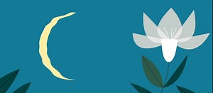 Aeon is celebrating its 10th birthday! Over the past decade, we’ve made it our mission to publish finely written essays that explore deep, existential questions and bring ideas to life for a general audience. This week we’ll feature some of our best work and ask authors and editors to reflect on what makes us special. Thank you for believing in us. Here’s to ten more years of big ideas. #10yearsofaeon https://aeon.co/donate | Aeon