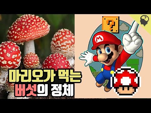 슈퍼 마리오의 키를 크게 해주는 버섯의 진짜 정체