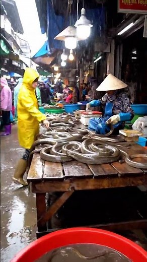 10 Shocking Street Foods You Have To See To Believe