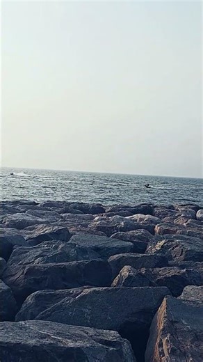 #shortsvideo #shortsyoutube #shorts #hello_world