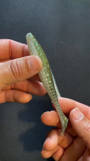 Does color really matter? Are you using the wrong lure color without even realizing it? 🤔🤔 Understanding contrast and choosing a color that stands out best under various conditions and environments is key! 👀 Fish rely on contrast to spot their prey. If your lure blends in too much, it’s basically invisible. Contrasting colors can help fish zero in on it. 🌊 When fishing in clear water with sandy bottoms, a white lure may blend in too much. Using a two-toned lure can stand out. 🌱 If the water