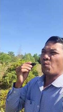 Phearun's official whistle: នឹកដូចគ្នា