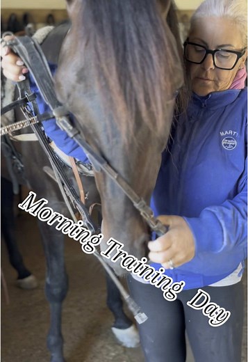 How to Put on a Horse Harness: Step-by-Step Guide