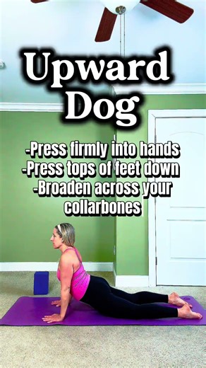 How to Transition from Cobra to Upward Facing Dog (Beginner Yoga)