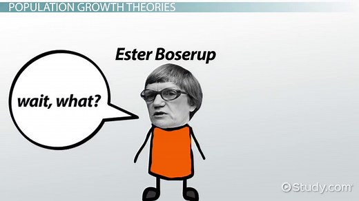 Ester Boserup | Biography & Theory