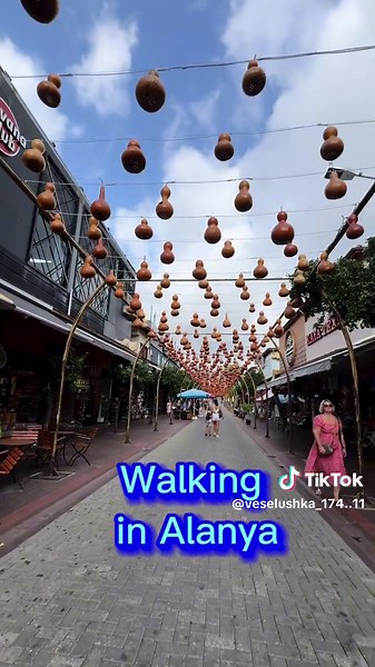 Veselushka TikTok'ta