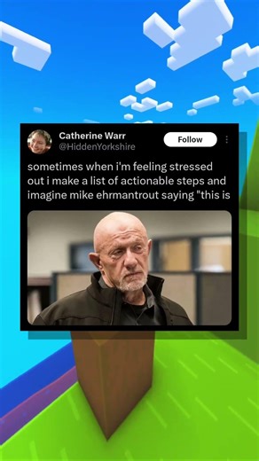 Mike Ehrmantraut Motivates Me To Do My Tasks! 🤣