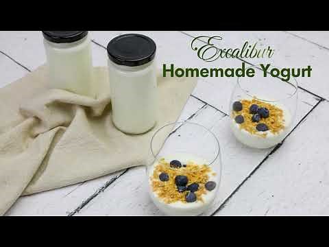 Homemade Yogurt in an Excalibur Dehydrator