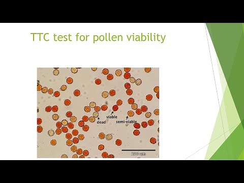 Pollen Viability Tests
