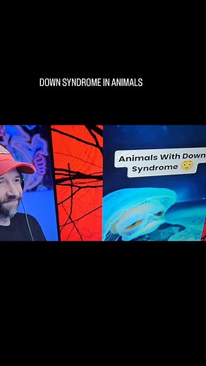 Animals with Downs Syndrome | Benjamin Stevenson