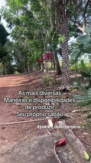 O cenário perfeito para produção do nosso sabão. Existe uma grande variedade de sabão líquido. Veja qual gosta e faça!. Economize. #sabaoliquido #curiosidades #informacoes #sabao #producao