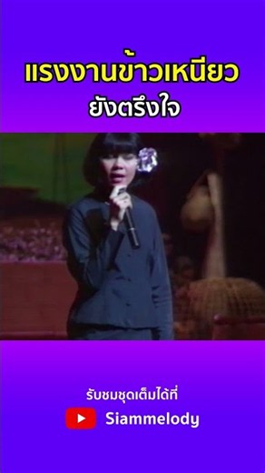 "แรงงานข้าวเหนียว" ฟังสดสุดซึ้ง... เสียงแคนที่คนไกลบ้านต้องน้ำตาไหล 🎶