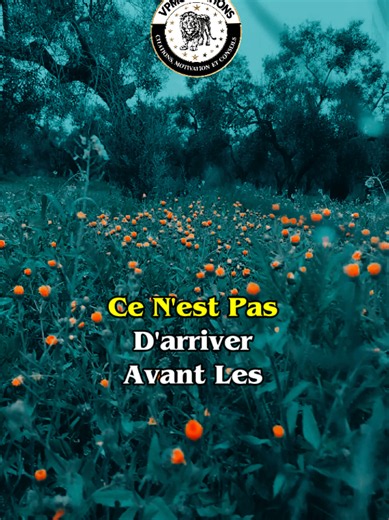 Conseils motivations et citations...