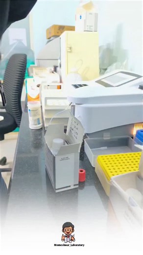 𝐌𝐨𝐦𝐞𝐬𝐡𝐰𝐚𝐫 𝐋𝐚𝐛𝐨𝐫𝐚𝐭𝐨𝐫𝐲 𝐃𝐡𝐚𝐧𝐞𝐫𝐚 on Instagram: "👉Follow @momeshwar_laboratory Alkaline Phosphatase Test Procedure 🧪 An alkaline phosphatase (ALP) test is a routine blood test measuring ALP, an enzyme vital for bone, liver, kidney, and intestinal health, detecting issues like liver disease (blockages, damage) or bone disorders (rickets, Paget's disease) by checking if levels are too high or low, often alongside other tests to pinpoint the source in the body. It's part of s