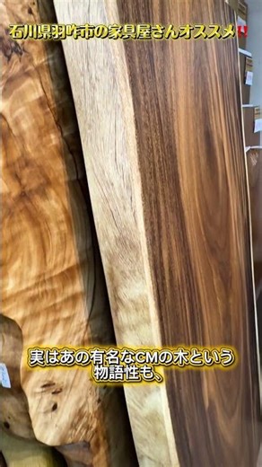 「『あの気になる木』を、独り占め。おうちを最高にお洒落なカフェに変える、魔法の一枚板。」大一家具で見つけたモンキーポッドが凄すぎる！#家具 #furniture #一枚板 #モンキーポッド