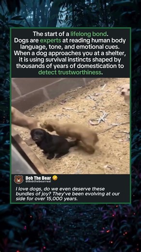 The Start of a Lifelong Bond