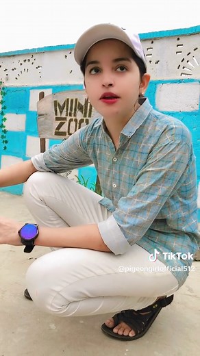 Training Tips for Your Pet Pigeons | Easy Step-by-Step Guide