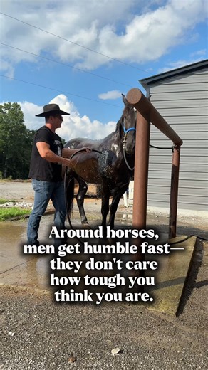 Horses check your ego instantly 😂 – #HorseLife #GuyEnergy | Donald Jenkins
