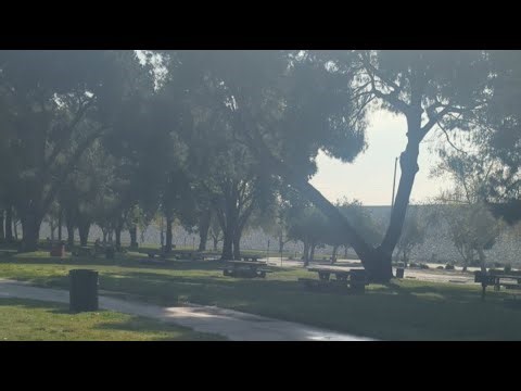 In Cognito Metal Detecting is live!