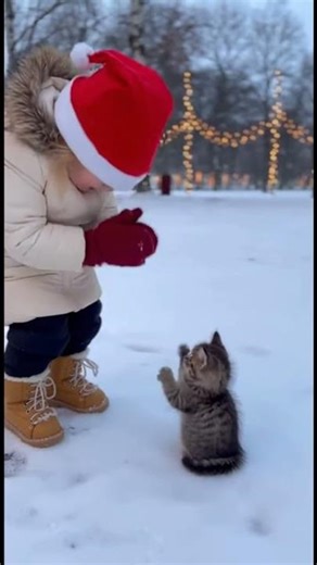 Toddler Teaches Kitten to Clap (Christmas Park)