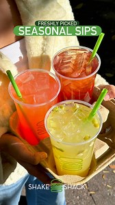 The holidays just got a whole lot sweeter with our trio of seasonal shakes including Chocolate Yule Log, Christmas Cookie, and Apple Cider Donut. | Shake Shack | Facebook
