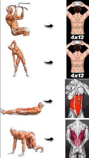 4 Moves That Actually Build a Bigger Back At Home! #shorts #fitness
