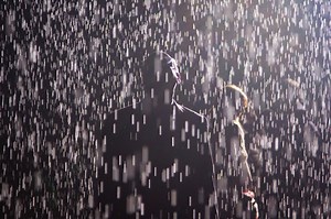 Rain Room is a must-visit, even if it won't get you wet