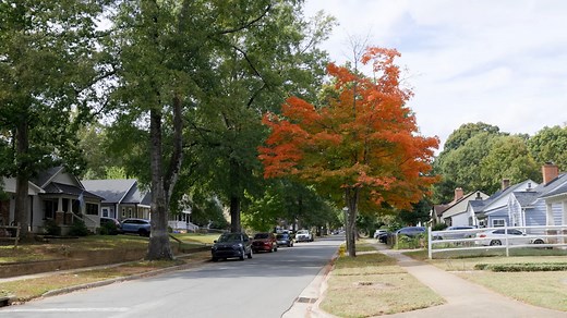 In Fiscal Year 2025, the City of Charlotte received a $3.75 million Housing Opportunities for Persons with AIDS (HOPWA) allocation from the U.S. Department of Housing and Urban Development. This funding helps low-income persons living with HIV and AIDS and their families achieve and maintain housing stability and improves their access to and engagement in HIV/AIDS treatment and care. We checked in with RAO Community Health, one of the organizations currently putting HOPWA funds to great use thro