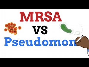 MRSA vs Pseudomonas - Which is more resistant ?