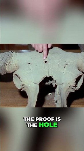 A 40,000 Year Old Bison Skull with a Bullet Hole?! #ancient #aliens