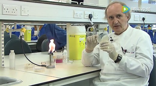 放置 API 鉴定条_Setting up an API20E