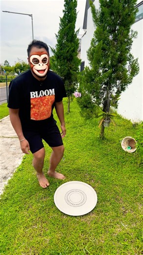 cute Zimomo & Mokoko jumping into the hula hoop #lucu #funnyshorts #funny #shortvideo