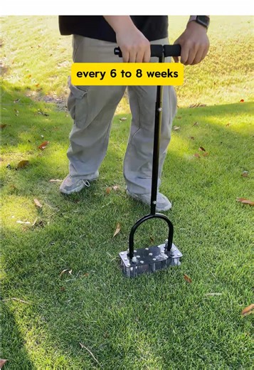 Transform Your Lawn This Fall with Aeration Techniques