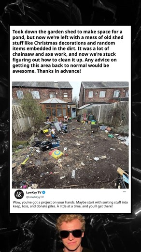 Backyard Cleanup Dilemma