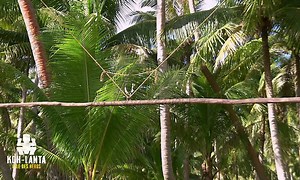 Koh-Lanta Le feu sacré - Emission 1 - Koh-Lanta | TF1+