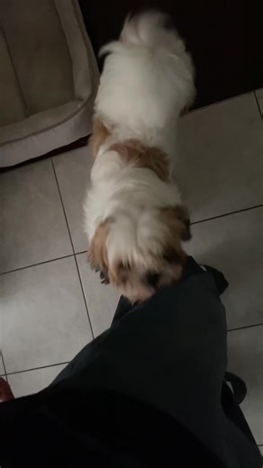 2025 felt like a decade