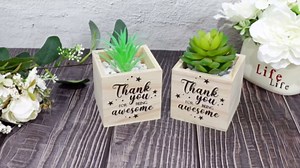 Geetery 12 Pieces Plant Cube Appreciation Gift Square Wooden Planter 3 Inch Pots for Wooden Inspirational Mini Succulent Pot Gift for Nurse Office Employee Teacher(Thank You)