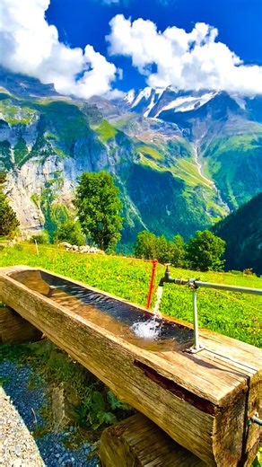 BEST OF SWITZERLAND🇨🇭 #schweiz #suisse #suica #suiza #svizerra #İsviçre #swiss #switzerland #switzerland🇨🇭 #swiss🇨🇭 #myswitzerland #iloveswitzerland #inlovewithswitzerland #bestofswitzerland #visitswitzerland #exploreswitzerland #myswitzerland #beautifuldestinations #interlaken #lauterbrunnen #grindelwald #alps #alpen #swissalps | syifa_in_switzerland