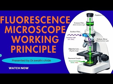 ✍️“Fluorescence Microscopy Explained: See Cells Like Never Before!”🔬