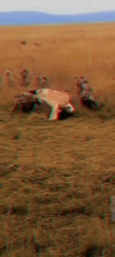 user8ao7vp8t1q នៅលើ TikTok