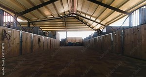 Inside view or horse stallion barn ranch. Aerial dolly shot at daytime in horses farmhouse at countryside. Trained equestrian stall waiting in rooftop shelter
