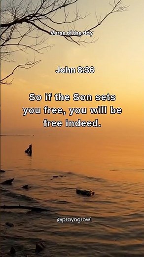 True Freedom in Christ | John 8:36 Bible Verse | July 4 Daily Freedom