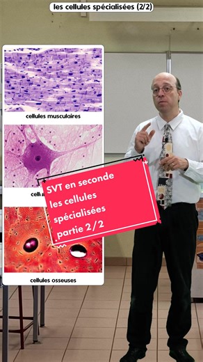 SVT avec M. Reynoard sur TikTok