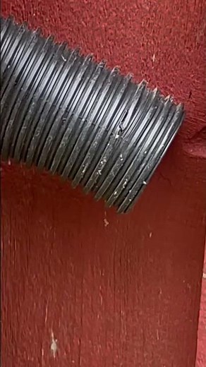 How to eliminate a yellow jacket nest 🐝 #yellowjackets
